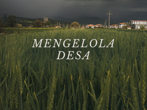 Mengelola Desa