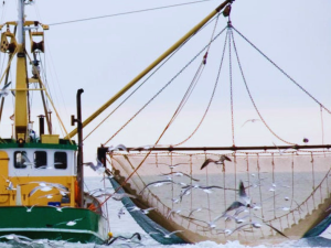 Teknologi Penangkapan Ikan